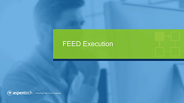 FEED project management executive applications